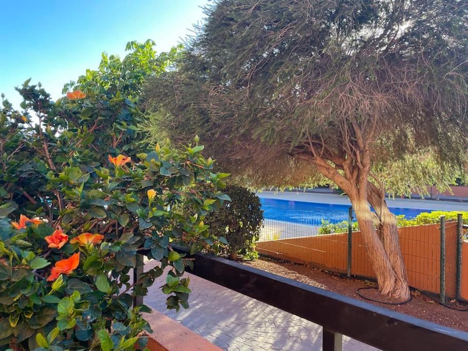 Cozy Apartment With Large Terrace Next To The Pool La Tejita Exterior foto
